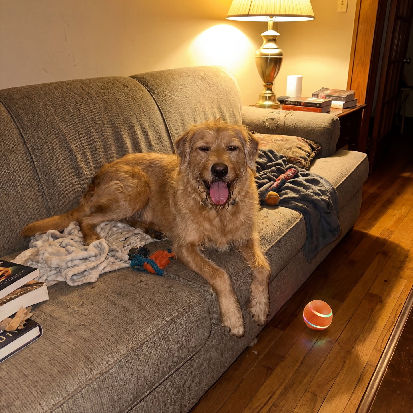 KeepChasing™ Smart Ball Keeps your dog busy when you can't